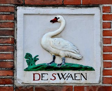 Zwaan beeld 3.jpeg