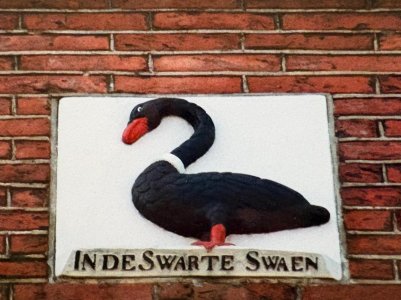 Zwaan beeld 4.jpg