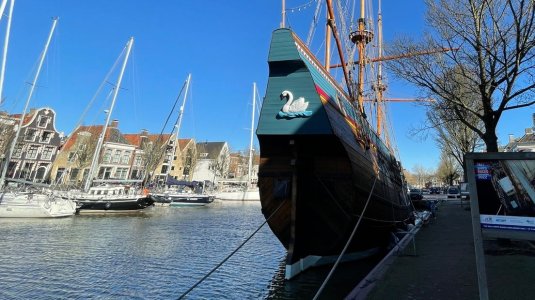 Zwaan witte swan.jpg