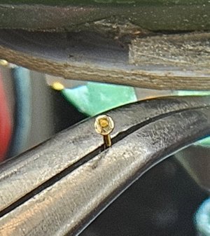 20251014_163903.jpg