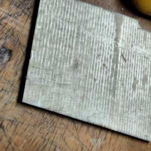 IMG20251016081925.jpg IMG20251016081925.jpg