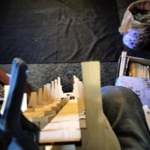 IMG20251016161015.jpg IMG20251016161015.jpg