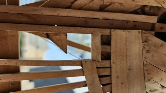 20251017_170055.jpg 20251017_170055.jpg