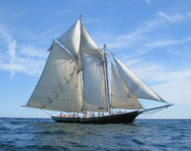 Screenshot_20251018-215938~2.png Screenshot_20251018-215938~2.png