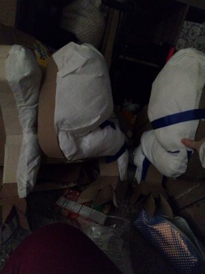 52b5c7aa-1477-4992-a3e2-2c164ed4fbe0.jpg 52b5c7aa-1477-4992-a3e2-2c164ed4fbe0.jpg