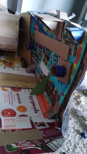 IMG_20251019_140932283.jpg IMG_20251019_140932283.jpg