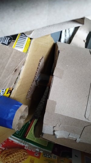 IMG_20251019_141005955.jpg IMG_20251019_141005955.jpg