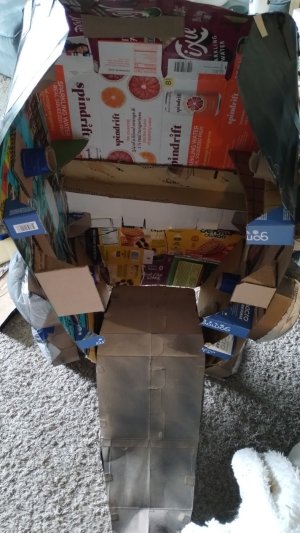 IMG_20251019_145556845.jpg IMG_20251019_145556845.jpg