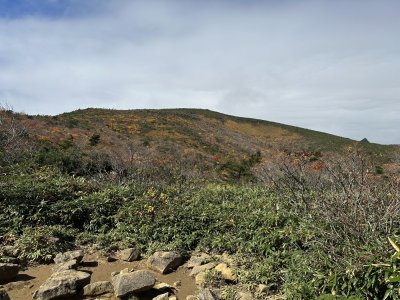 IMG_6229.jpeg