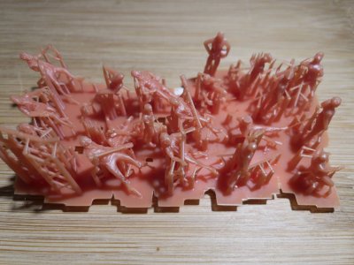 IMG_3537.jpeg IMG_3537.jpeg