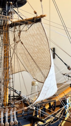 IMG_9342.jpeg IMG_9342.jpeg