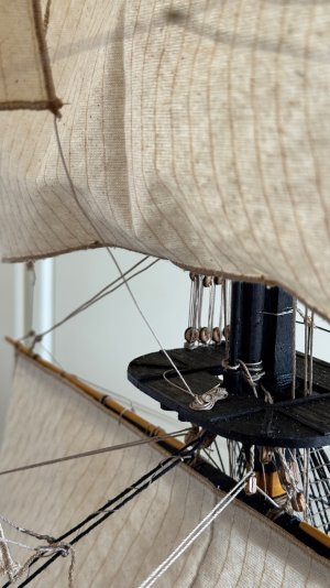 IMG_9337.jpeg IMG_9337.jpeg