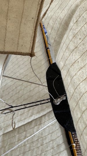 IMG_9336.jpeg IMG_9336.jpeg