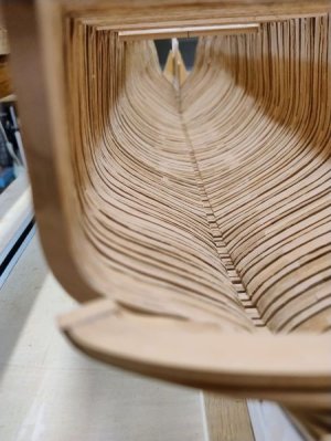 IMG_20250421_171819140_AE SMALL.jpg