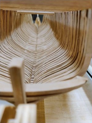 IMG_20250421_171832125_AE SMALL.jpg