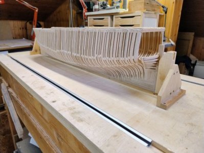 IMG_20250501_100239879_AE SMALL.jpg