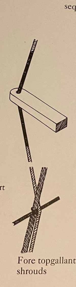 IMG_0809.jpeg IMG_0809.jpeg