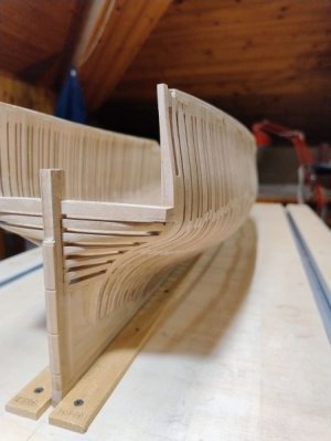 IMG_20250602_085508605_AE SMALL.jpg