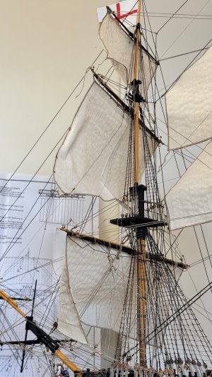 IMG_9384.jpeg IMG_9384.jpeg