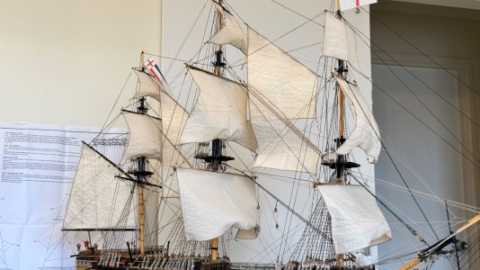 IMG_9382.jpeg IMG_9382.jpeg