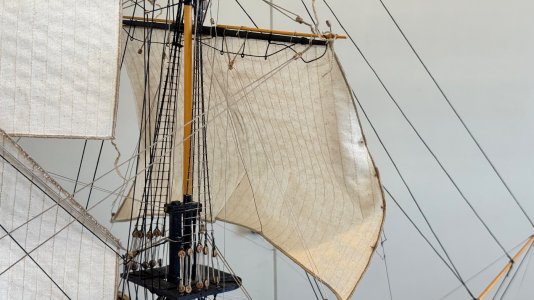 IMG_9381.jpeg IMG_9381.jpeg