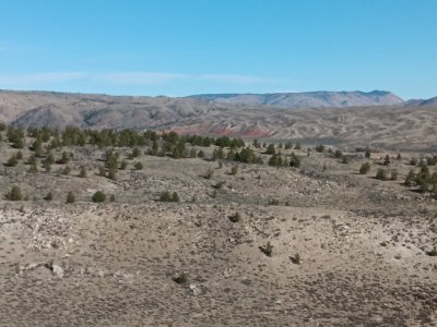 20251026_101001.jpg 20251026_101001.jpg