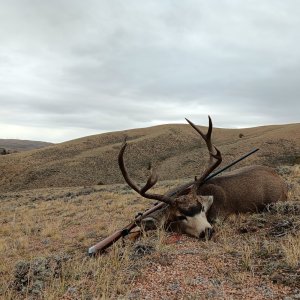 20251027_114216.jpg 20251027_114216.jpg