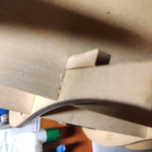 IMG20251031201833.jpg IMG20251031201833.jpg