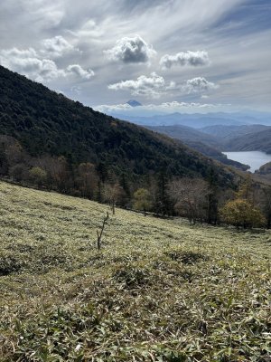 IMG_6358.jpeg IMG_6358.jpeg