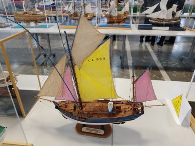 IMG_20251031_155232.jpg IMG_20251031_155232.jpg