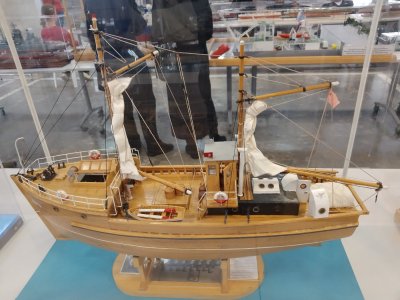 IMG_20251031_155345.jpg IMG_20251031_155345.jpg