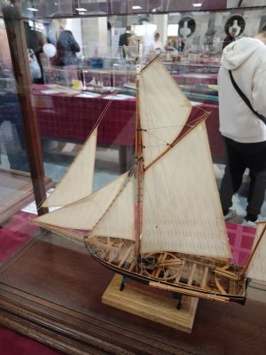 IMG_20251031_155648.jpg IMG_20251031_155648.jpg