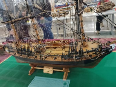 IMG_20251031_155729.jpg IMG_20251031_155729.jpg