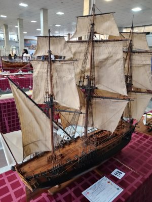 IMG_20251031_161118.jpg IMG_20251031_161118.jpg