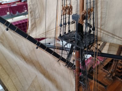 IMG_20251031_161036.jpg IMG_20251031_161036.jpg