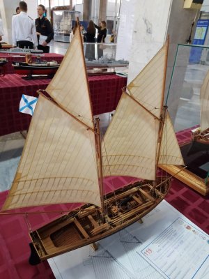 IMG_20251031_161305.jpg IMG_20251031_161305.jpg