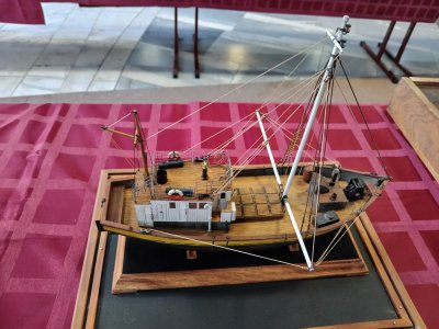 IMG_20251031_161654.jpg IMG_20251031_161654.jpg