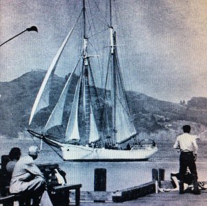 1_b5ea4876b56726c2b36d99096d24f657 (4).jpg