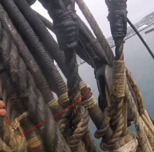 1762223992442.png 1762223992442.png