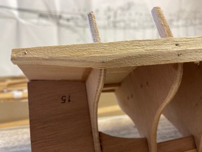 IMG_3989.JPG IMG_3989.JPG