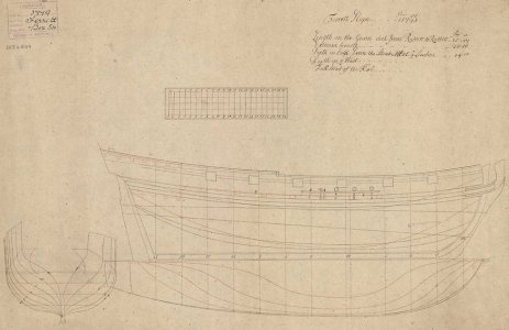 ferret.jpg ferret.jpg