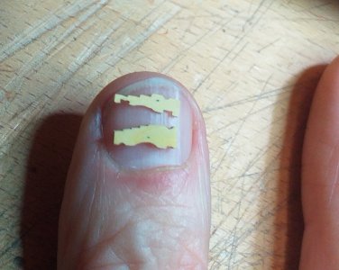 20251105_181107.jpg 20251105_181107.jpg