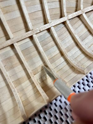 IMG_6763.JPEG IMG_6763.JPEG