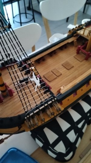 IMG20251107160410.jpg IMG20251107160410.jpg