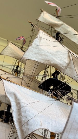 IMG_9530.jpeg IMG_9530.jpeg