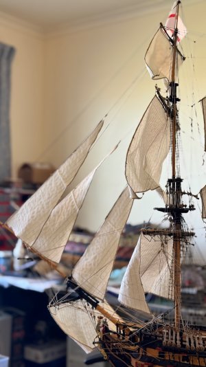 IMG_9528.jpeg IMG_9528.jpeg