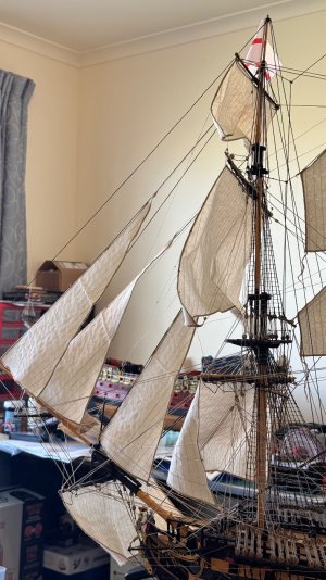 IMG_9527.jpeg IMG_9527.jpeg