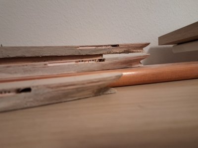 20251106_230055.jpg 20251106_230055.jpg