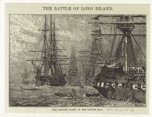 The_British_fleet_in_the_lower_bay_1876.jpg