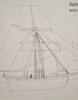 Alert 1529.jpg Alert 1529.jpg